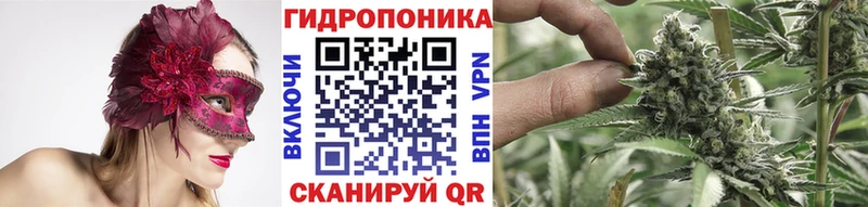 Гашиш Сосновый Бор