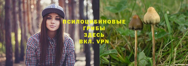 каннабис Аркадак
