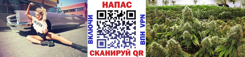 Конопля семена  Сосновый Бор 